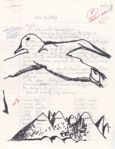same image as from above, but with black sharpie albatross drawn over